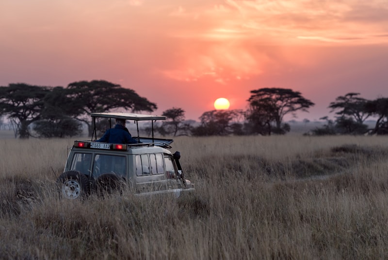 Serengeti Quiet Wildlife Safari